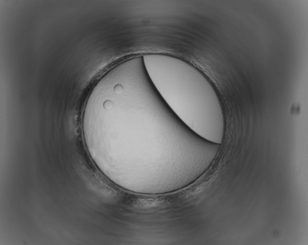 X0000090990351200708021208