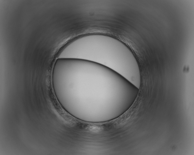 X0000090990352200708021208