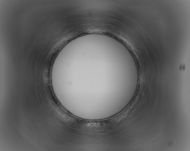 X0000090990353200708021208