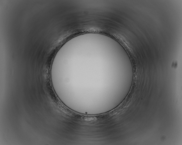 X0000090990355200708021208