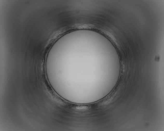 X0000090990357200708021208