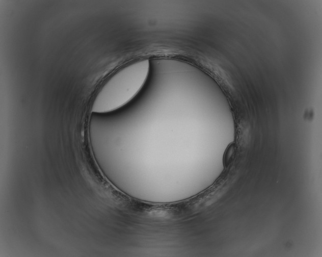 X0000090990358200708021208
