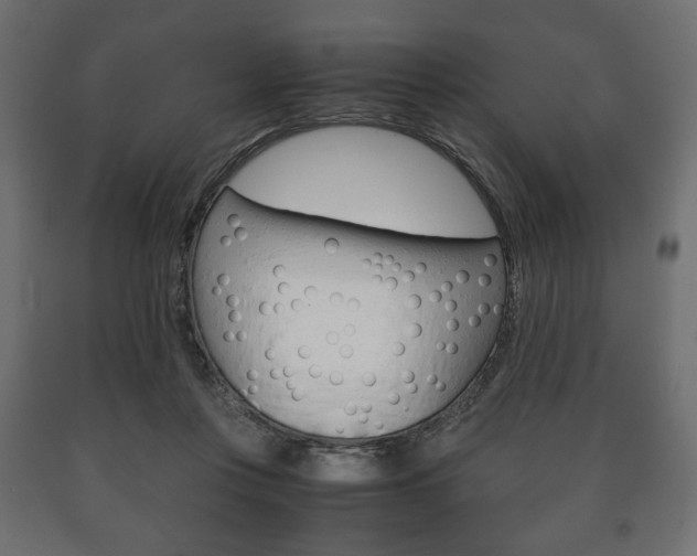 X0000090990359200708021208