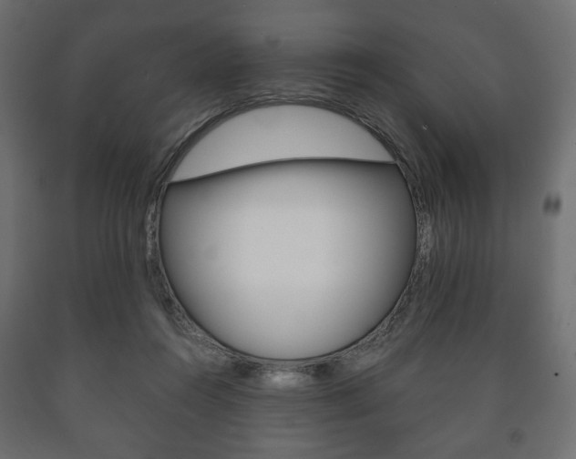 X0000090990360200708021208