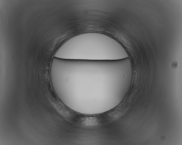 X0000090990361200708021208