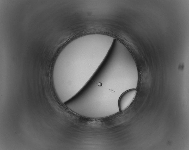 X0000090990362200708021208