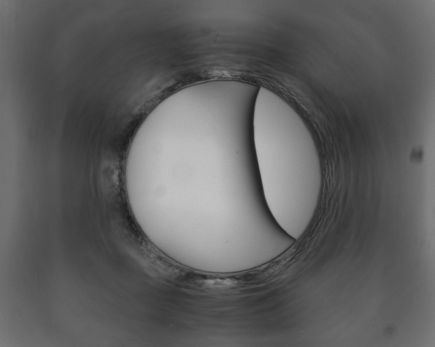 X0000090990363200708021208