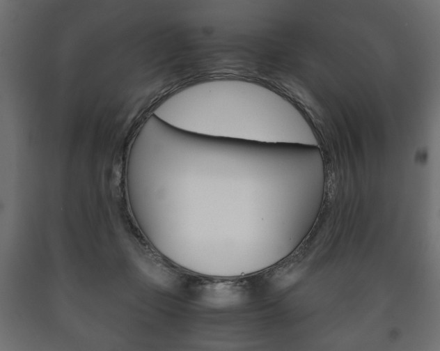 X0000090990365200708021208