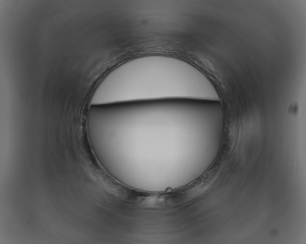 X0000090990366200708021209
