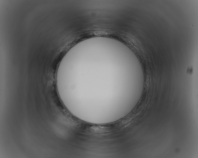X0000090990367200708021209