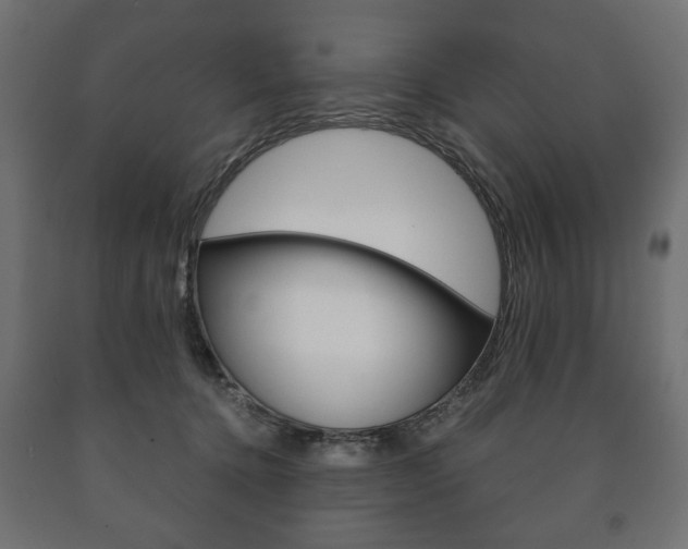 X0000090990368200708021209