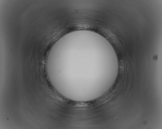 X0000090990369200708021209