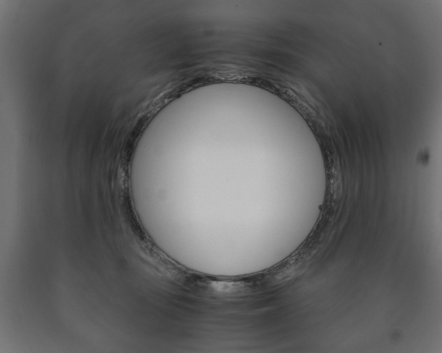 X0000090990371200708021209