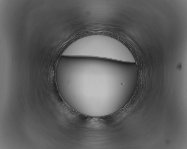 X0000090990372200708021209
