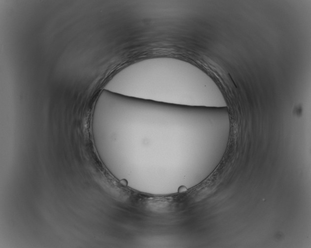X0000090990373200708021209