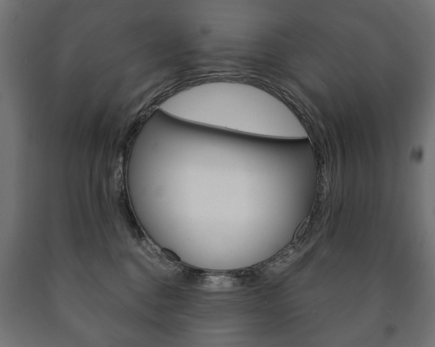 X0000090990376200708021209