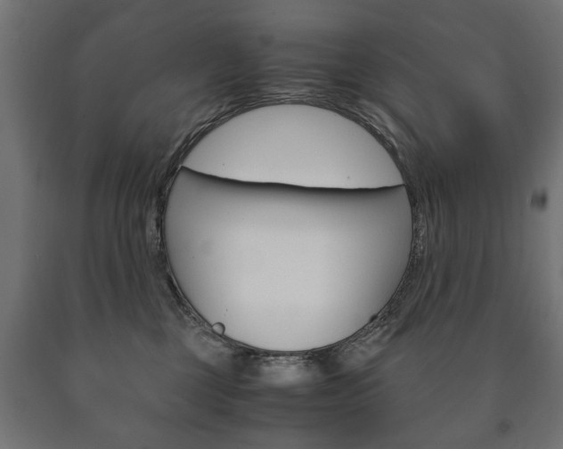 X0000090990377200708021209