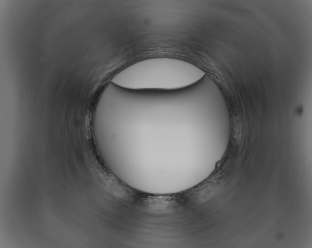 X0000090990378200708021209