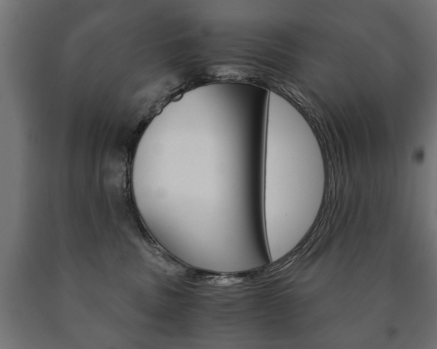 X0000090990379200708021209