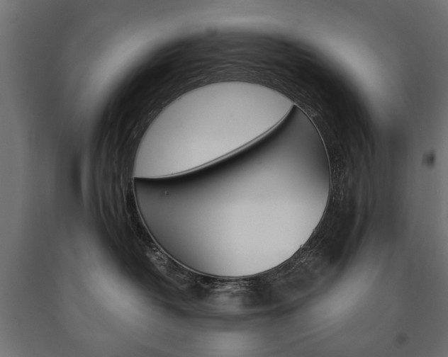 X0000090990382200708021209