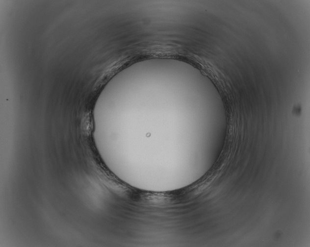 X0000090990383200708021209