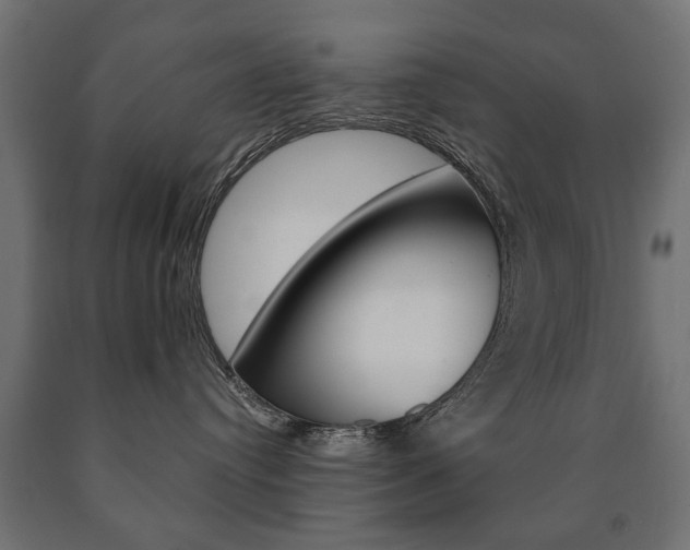 X0000090990384200708021209