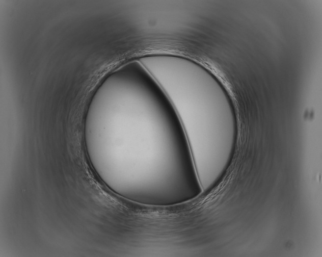 X0000090990385200708021208
