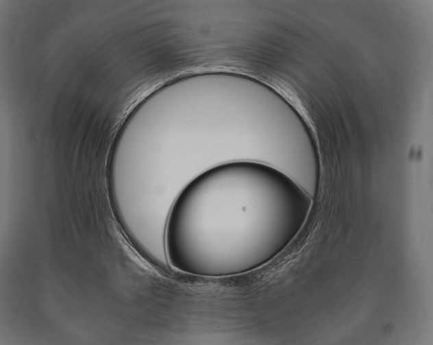 X0000090990389200708021208