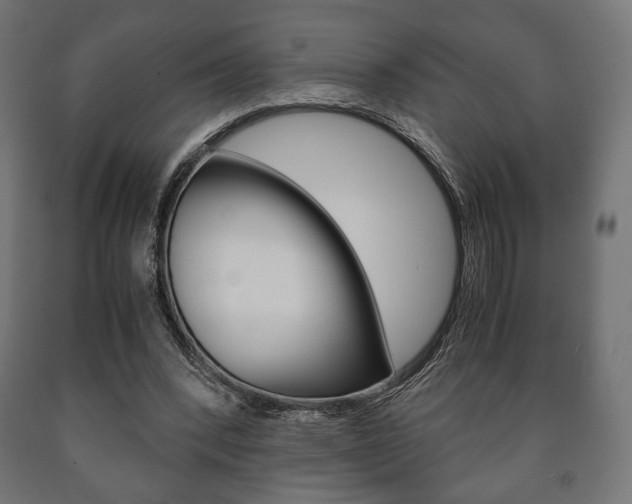 X0000090990392200708021208