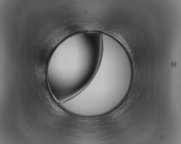 X0000090990393200708021208