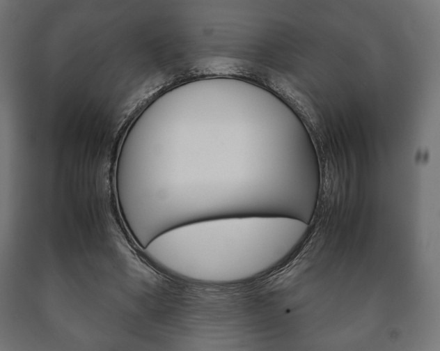 X0000090990394200708021208