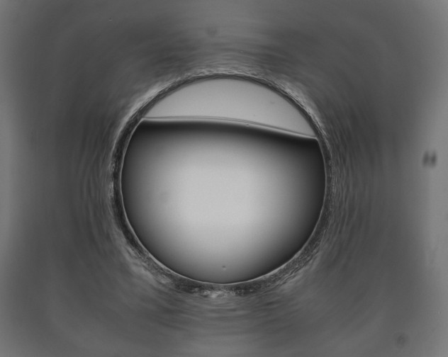 X0000090990395200708021208
