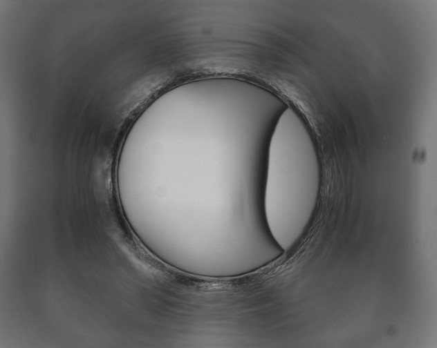 X0000090990398200708021208