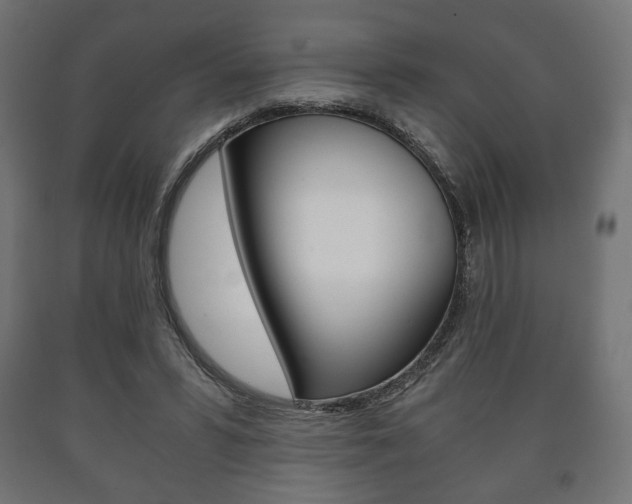 X0000090990399200708021208