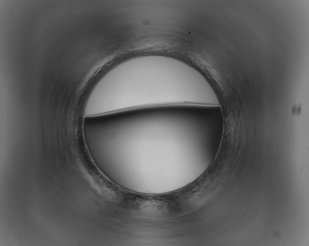 X0000090990400200708021208