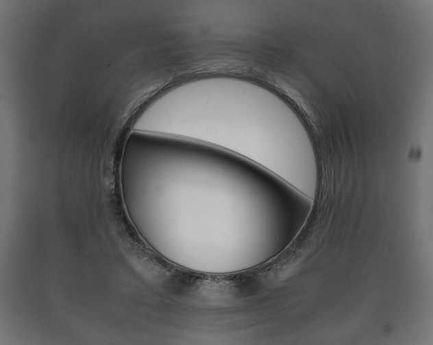 X0000090990403200708021208