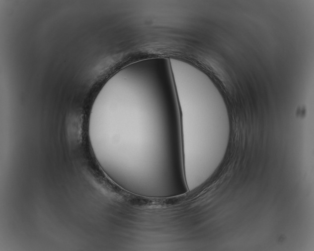 X0000090990404200708021208