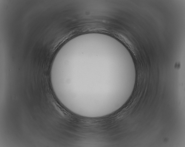 X0000090990405200708021208
