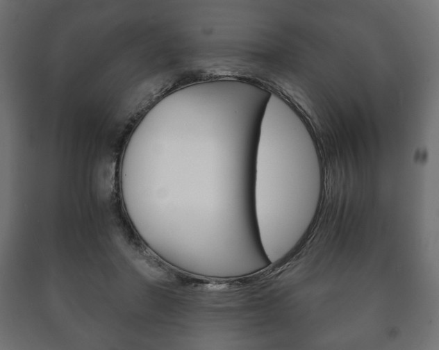 X0000090990406200708021208