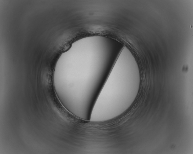 X0000090990408200708021208