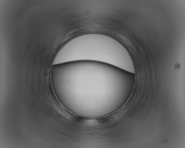 X0000090990409200708021208