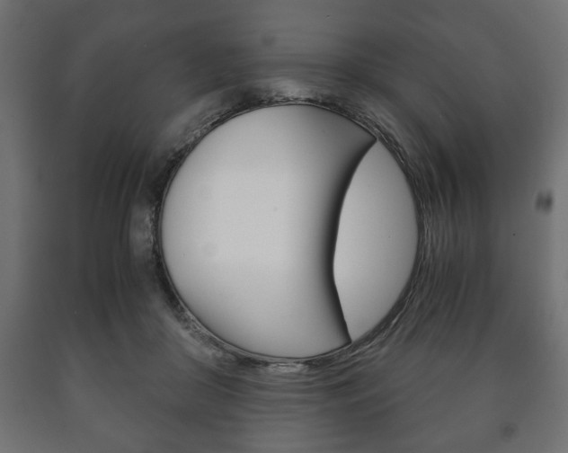 X0000090990410200708021208
