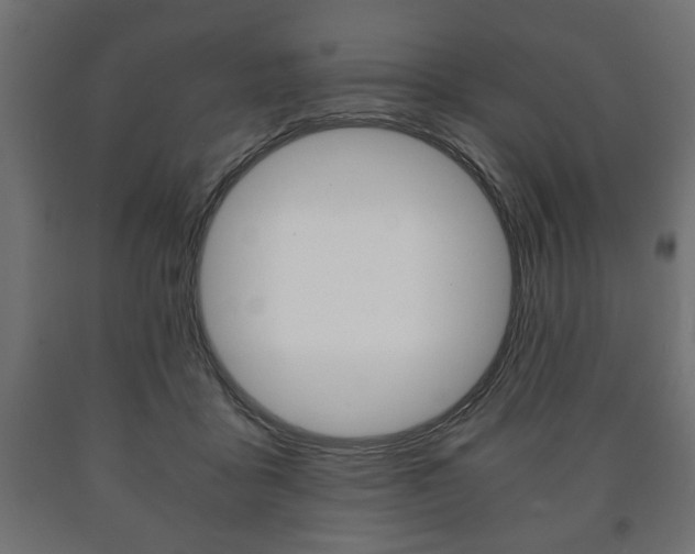 X0000090990411200708021208