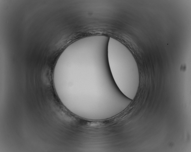 X0000090990414200708021208