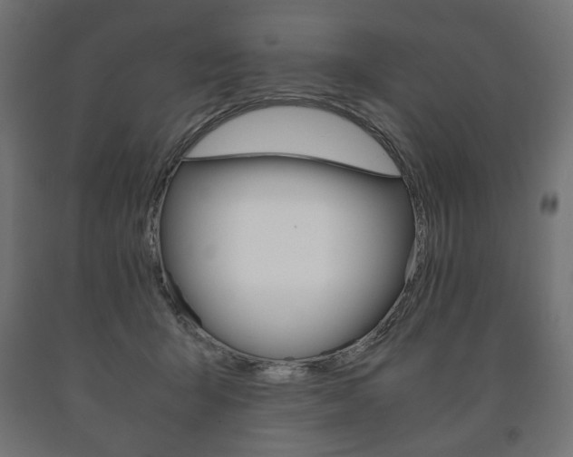 X0000090990415200708021208