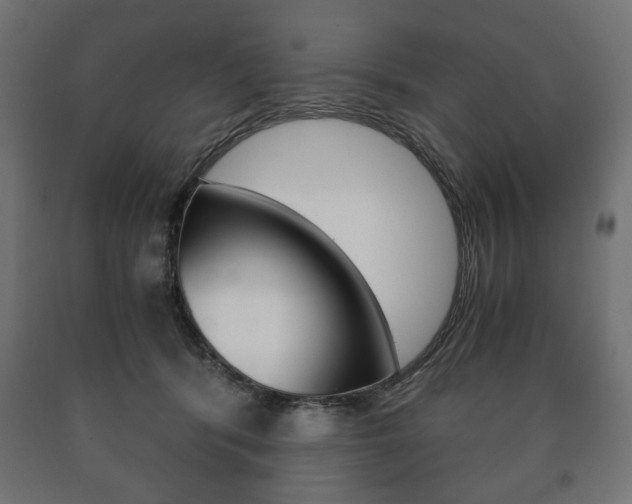 X0000090990416200708021208
