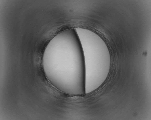 X0000090990417200708021208