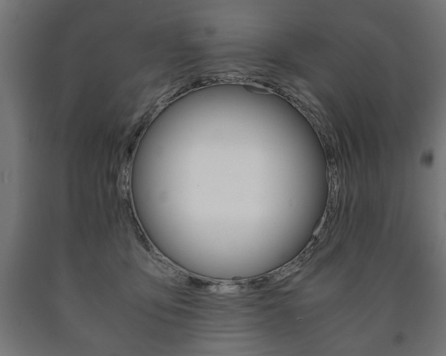 X0000090990419200708021208