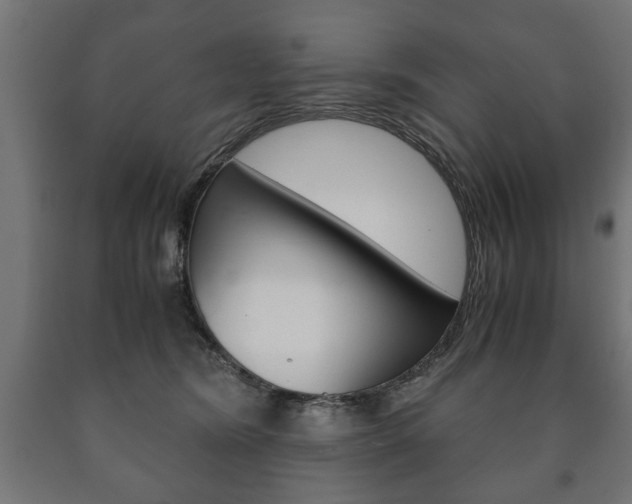 X0000090990420200708021208