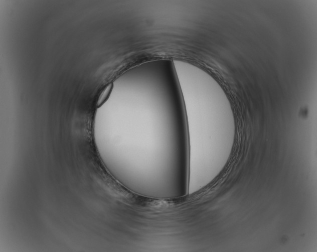 X0000090990421200708021208